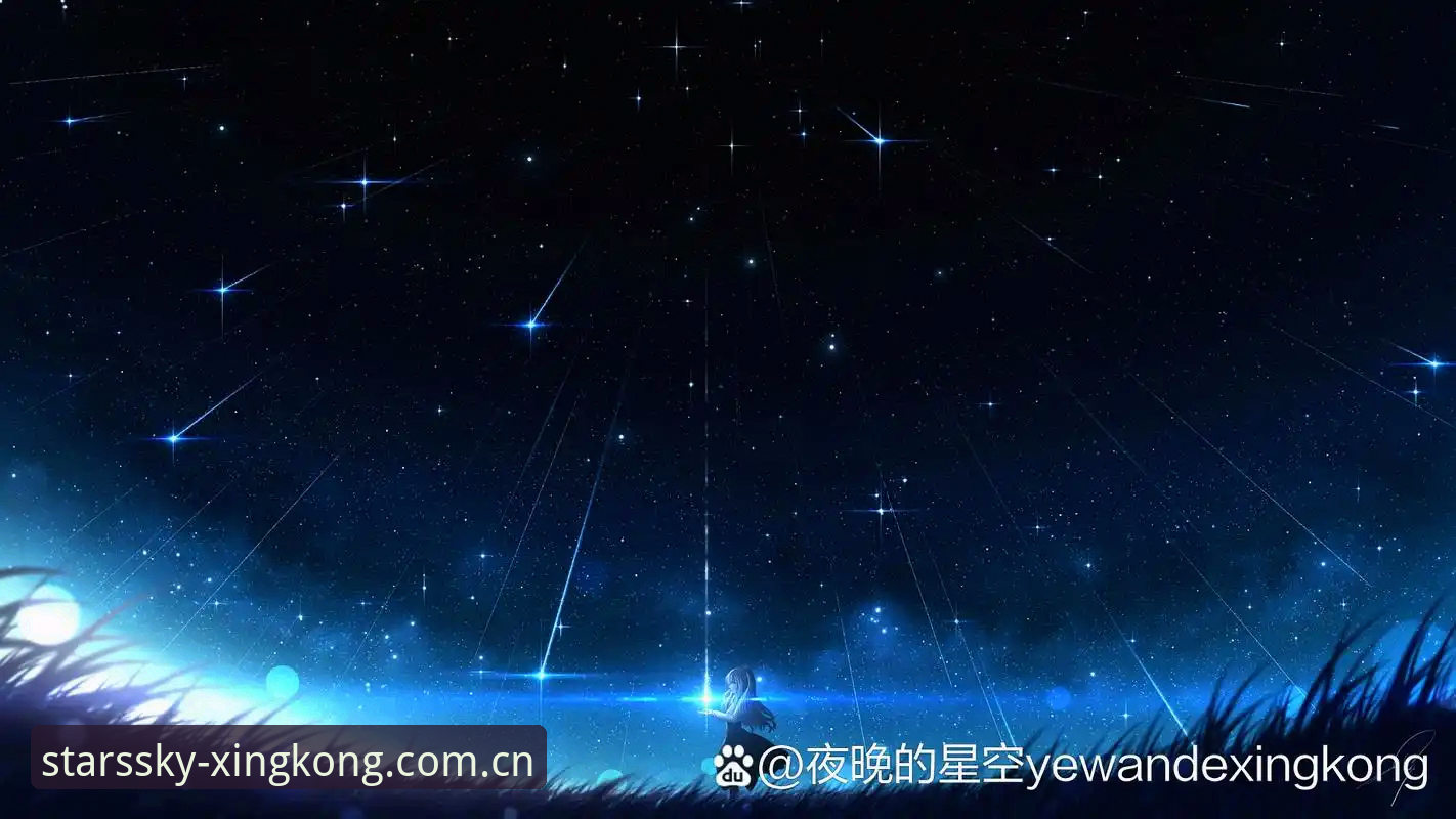 旧版兼容 vs 新版升级：星空XINGKONG登录指南，哪种更适合你？